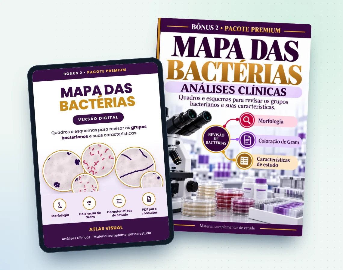 Mapa das Bactérias