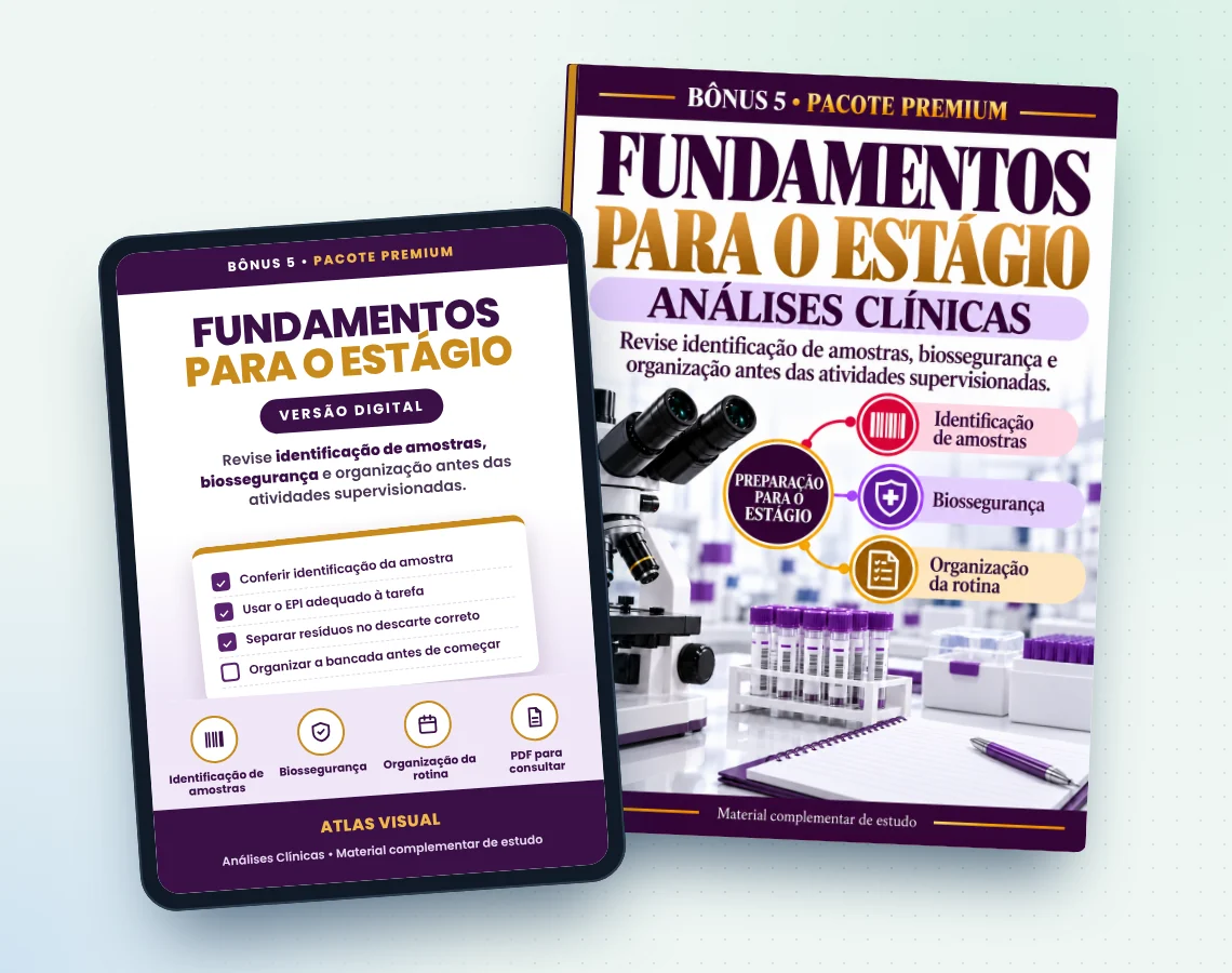 Fundamentos para o Estágio